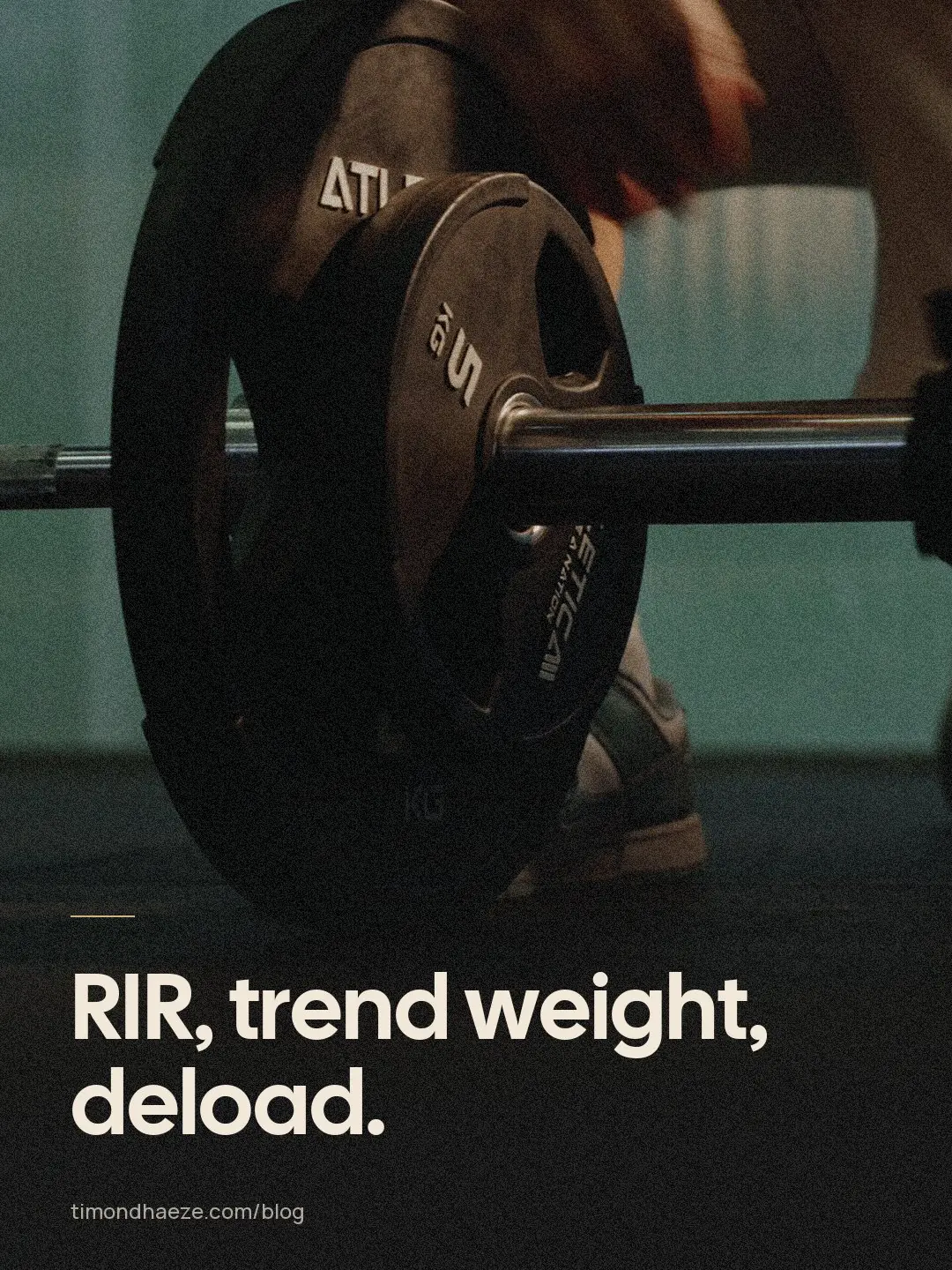 Cover with the title Training and nutrition terms explained
